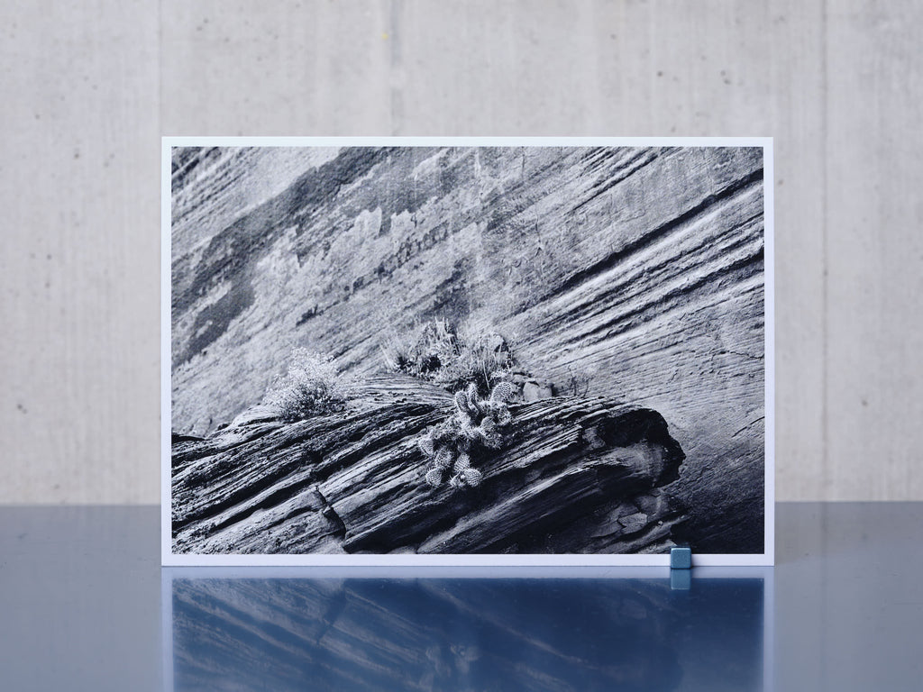 Postkarte BUCKSKIN A6