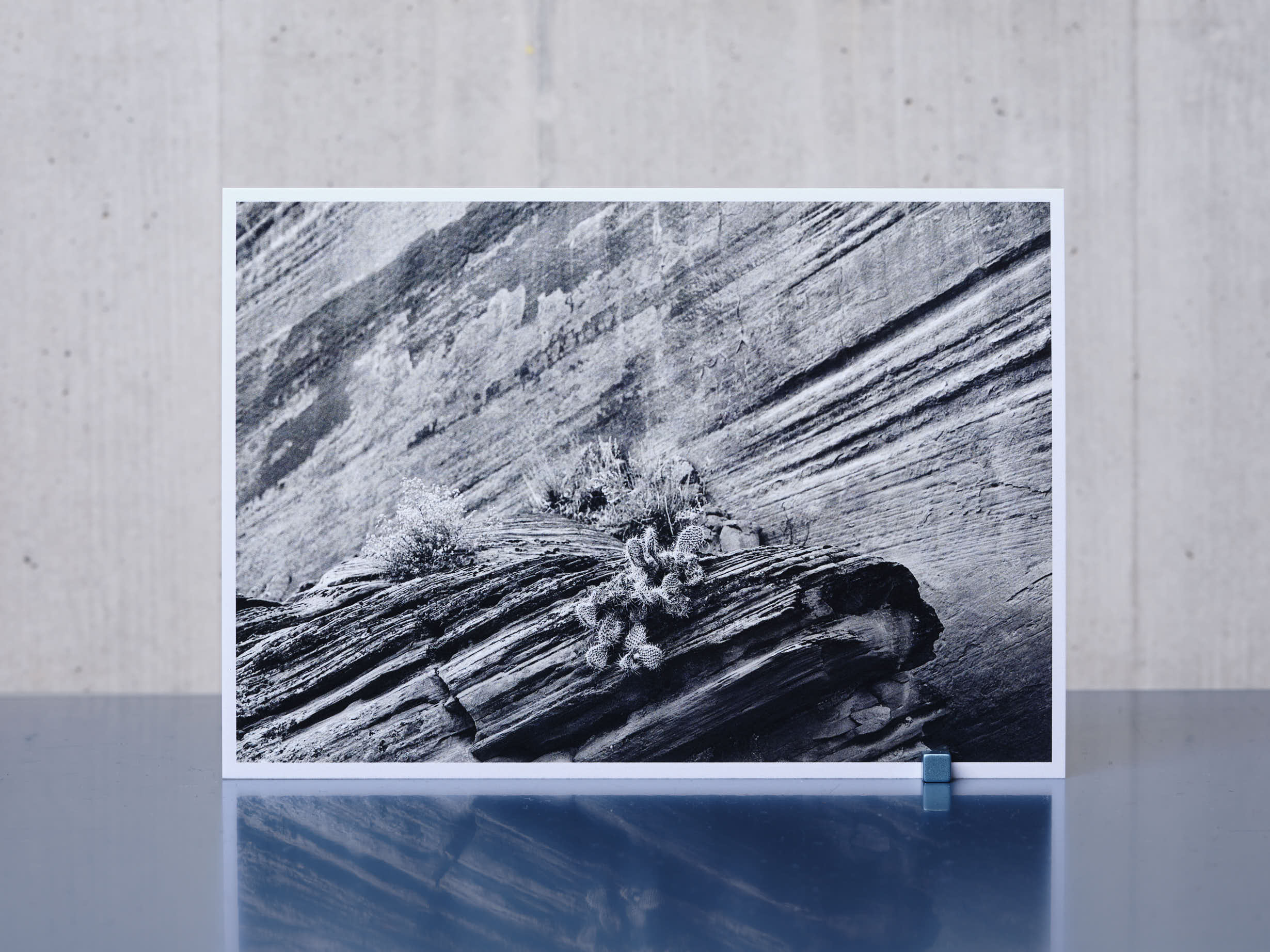 Postkarte BUCKSKIN A6