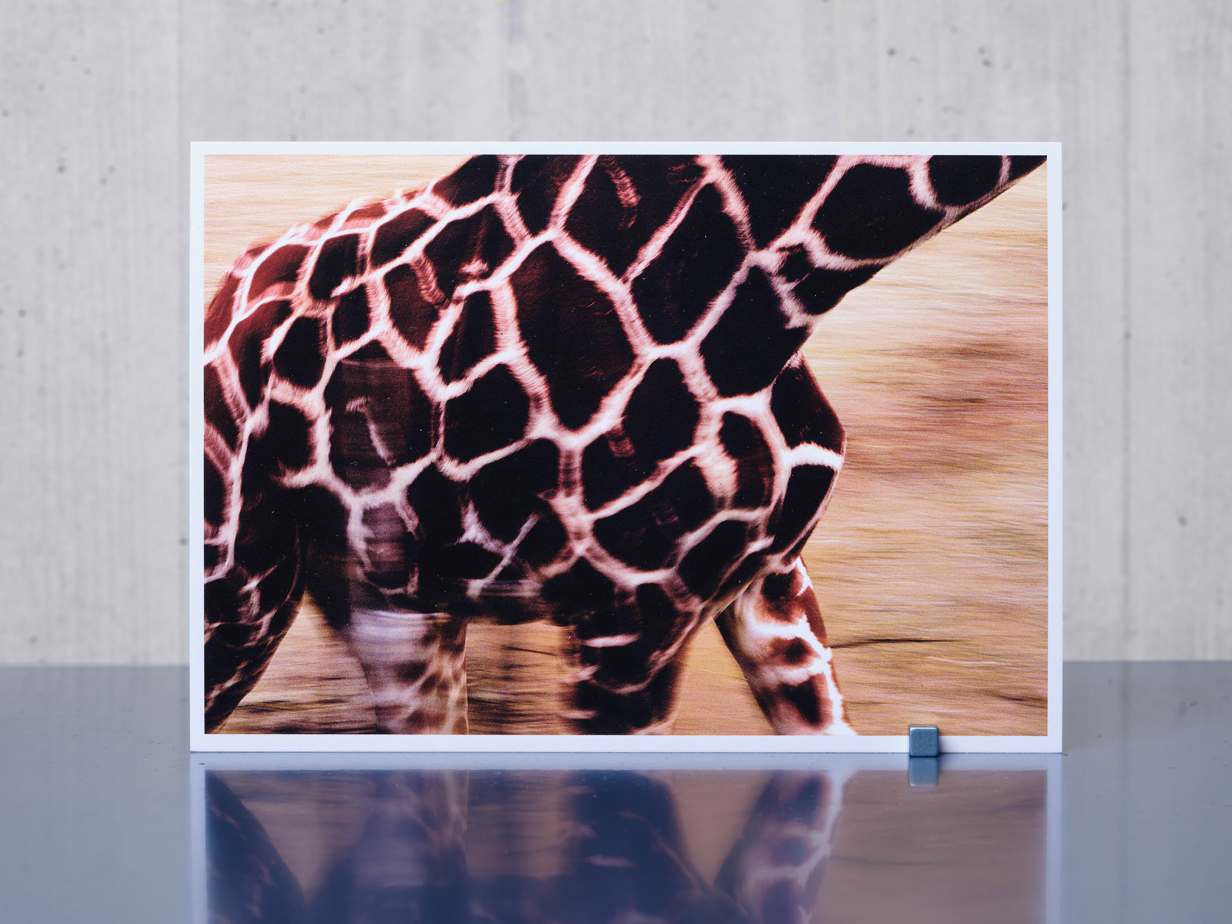 Postkarte GIRAFFE A6