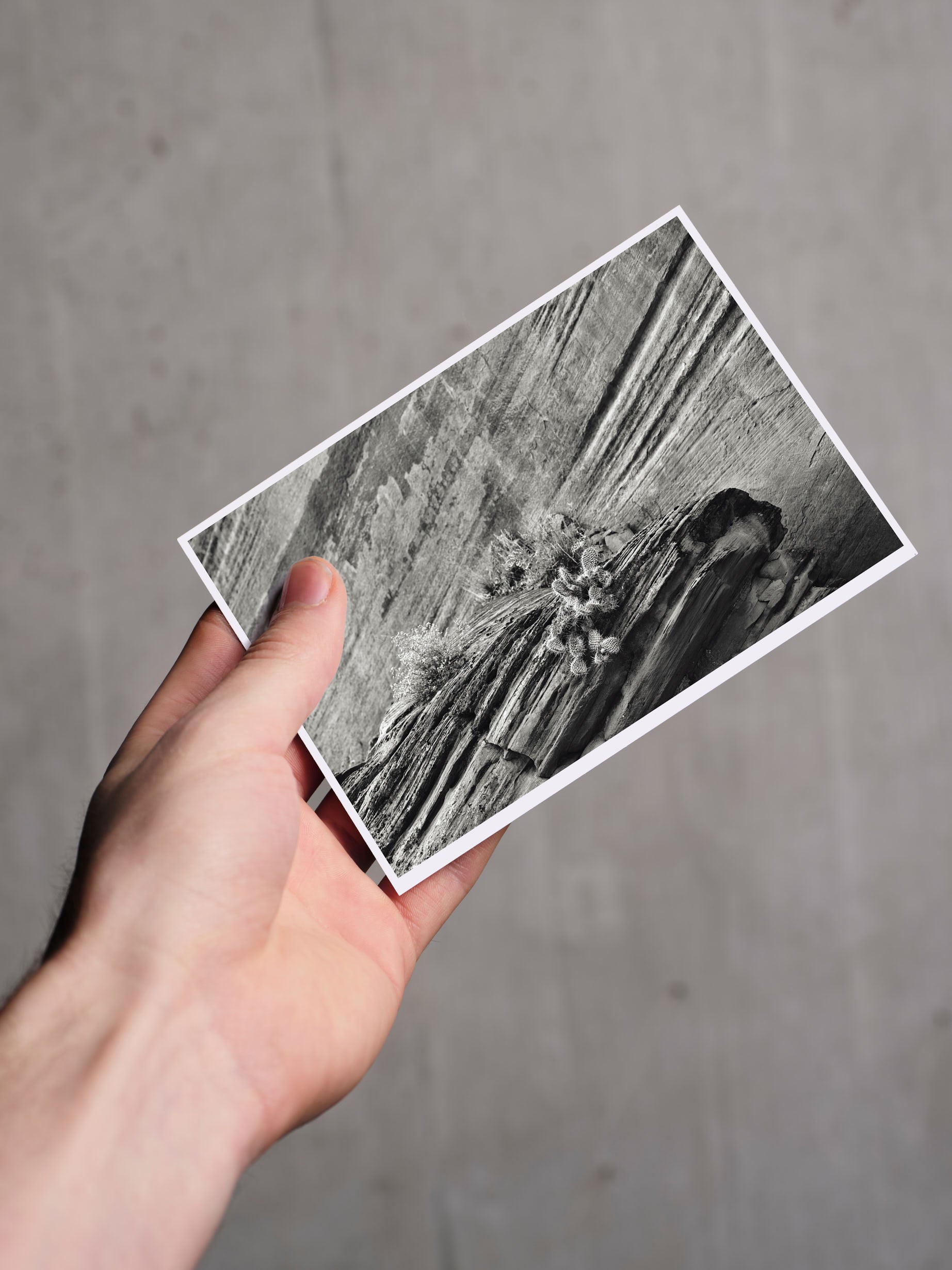 Postkarte BUCKSKIN A6