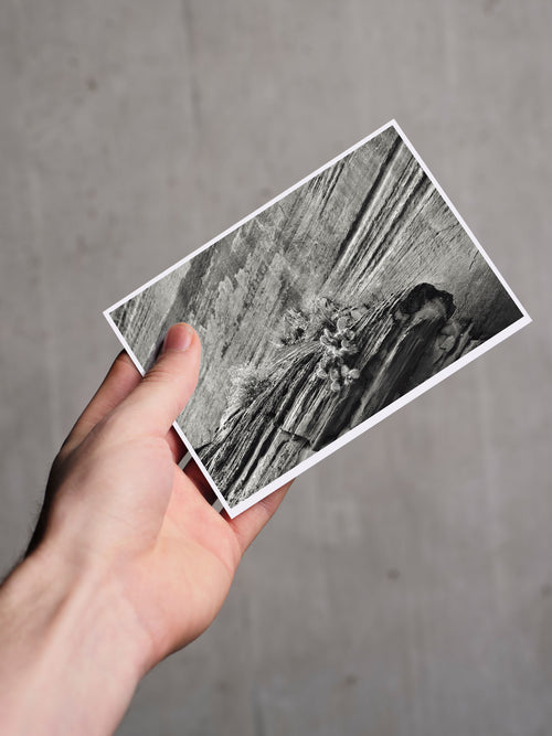 Postkarte BUCKSKIN A6